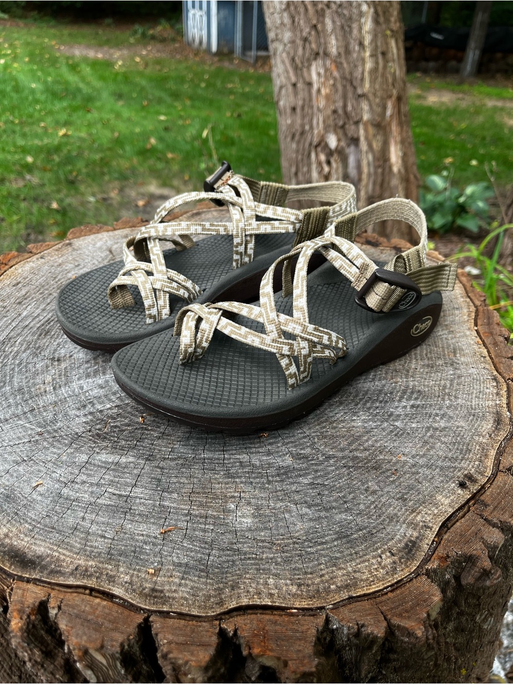 Women's chacos Neutral Strappy Outdoor Sandals - Beige/Olive size 7